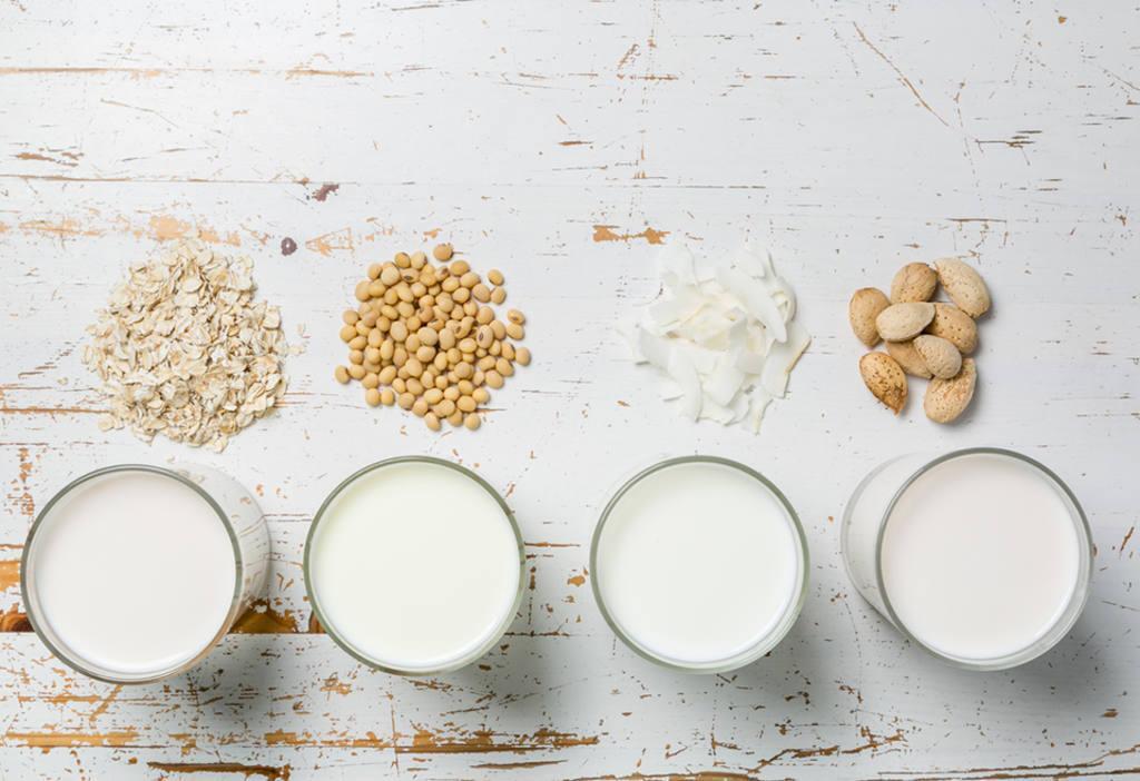 Diferentes tipos de leche: todo lo que necesitas saber