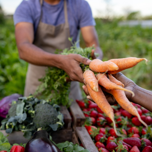 Economía circular y alimentos