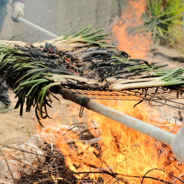 Calçotada: la tradición catalana que nunca pasará de moda