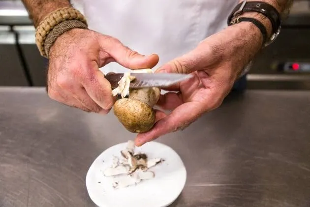 Boletus pinícola frescos con salsa de mantequilla de oveja, trufa y yema cuajada