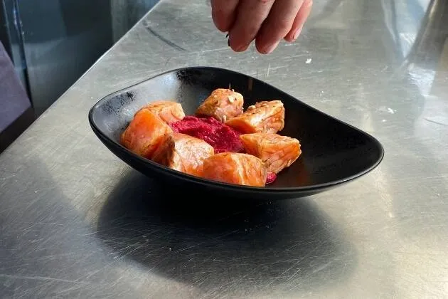 Dados de salmón marinado con hummus de remolacha y chips vegetales