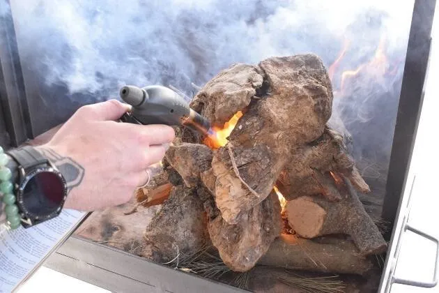 Pluma ibérica en adobillo de Pablo Vega