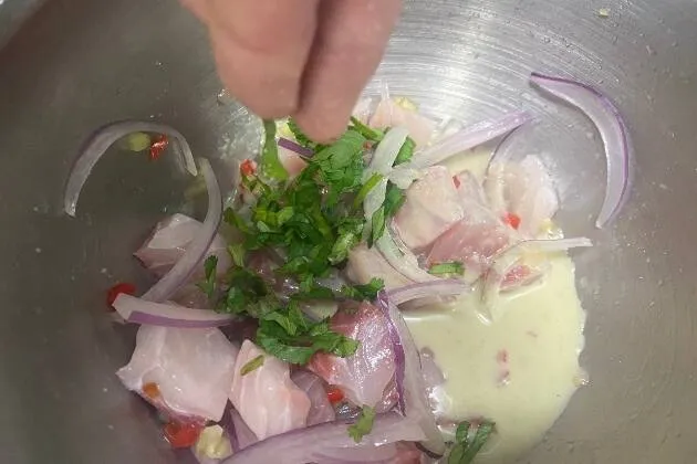 Ceviche al estilo Guatapé