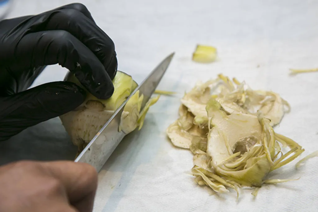 Tortilla abierta de chips de alcachofa, jamón ibérico y yema ahumada al romero