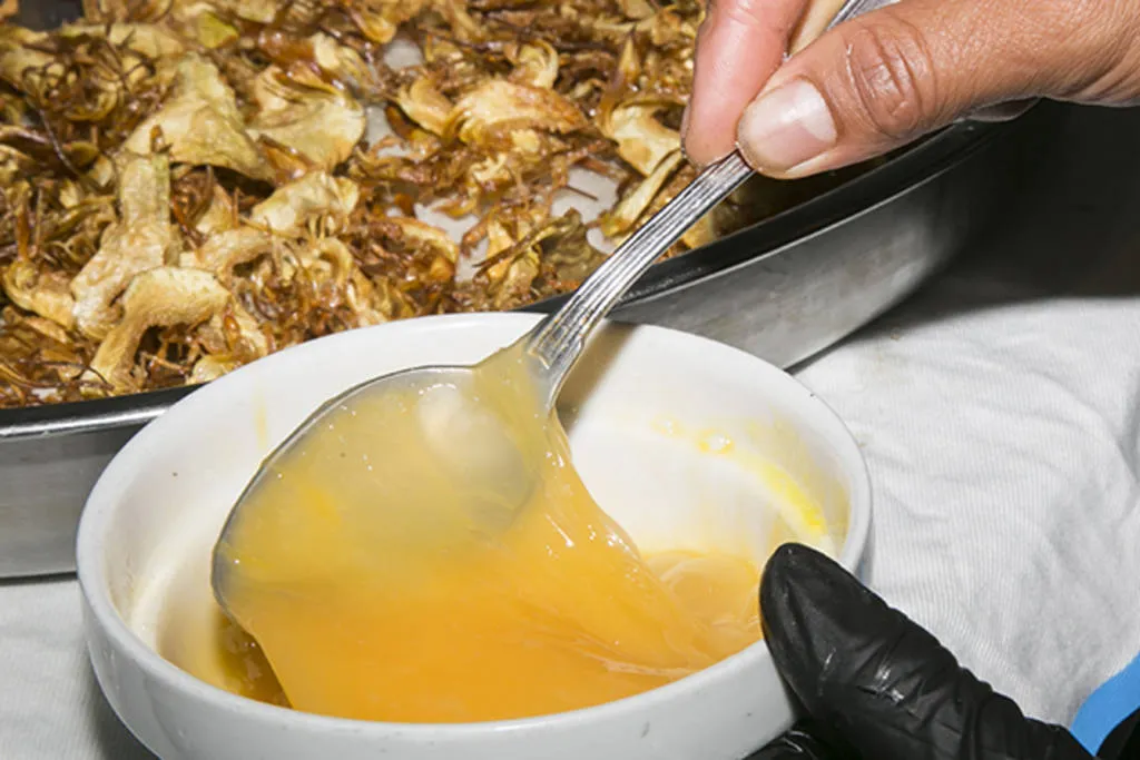 Tortilla abierta de chips de alcachofa, jamón ibérico y yema ahumada al romero