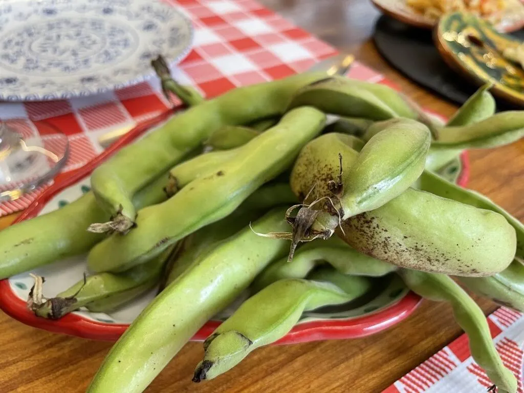 La Cantina de Ruzafa