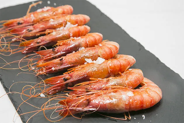 Gamba de la costa