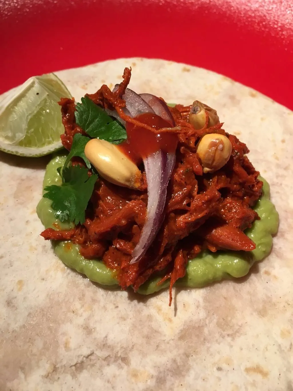 Taco de pato pibil