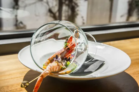 Gamba roja sobre gel de hinojo y emulsión escabechada de setas, gambas y kimchi