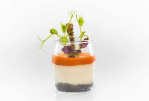  Yogur de albadejo con tierra de tinta de calamar y gelatina de pimientos