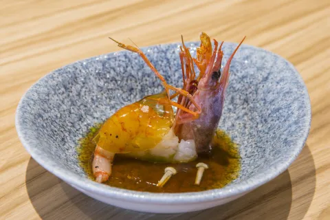 Gamba Mô-Thai