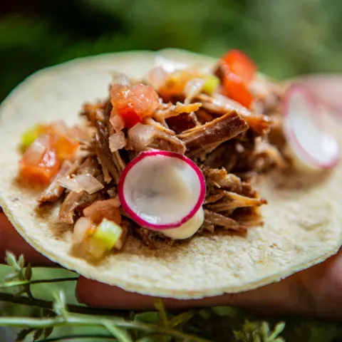 Taco de cerdo desmigado con fondo de arròs brut, trempó con alioli de limón