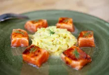 Dados de salmón marinado con falso risotto de calabacín