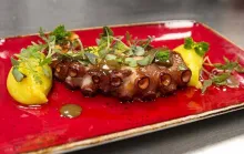 Pulpo a la brasa con alioli de ajo negro y pimentón de la Vera