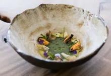 Sopa de nopal y pistacho verde con navajas, mejillones y caracoles de mar