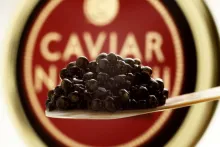 Esturiones y caviar, uno de los secretos del Valle de Arán