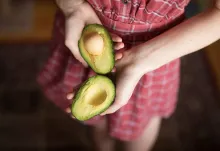 Cómo cultivar tus propios aguacates