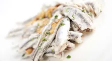 Anchoas del Cantábrico, un pequeño y nutritivo tesoro