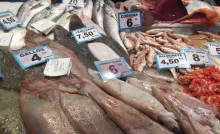 Mercado del Cabanyal: la tradición de un mercado con alma que mira al mar