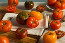 Tomate “en ort”, el tomate ibérico de Málaga