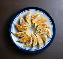 Relleno de gyozas