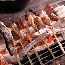 Robata: técnicas y sabores de la cocina tradicional japonesa