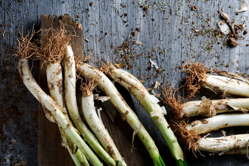 Comer calçots sin mancharse