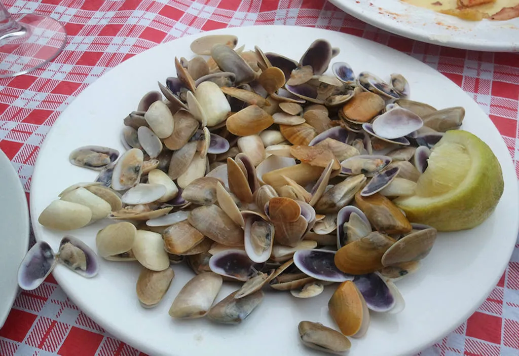 Cinco buenos sitios para comer coquinas en Madrid