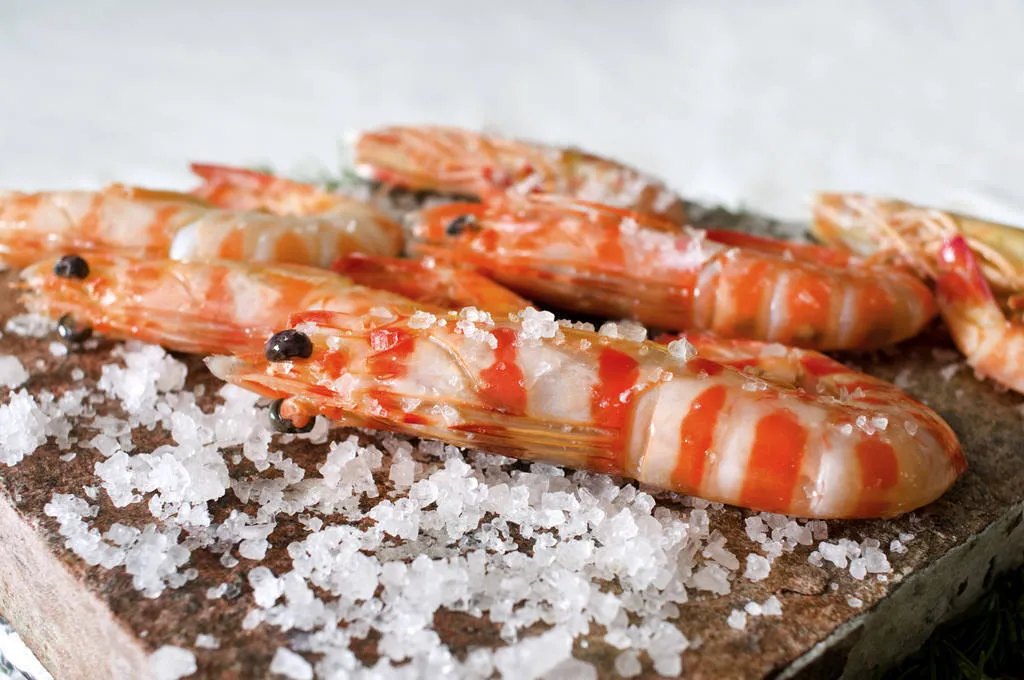 Langostino de Vinaròs, el anfitrión gastronómico de la costa mediterránea