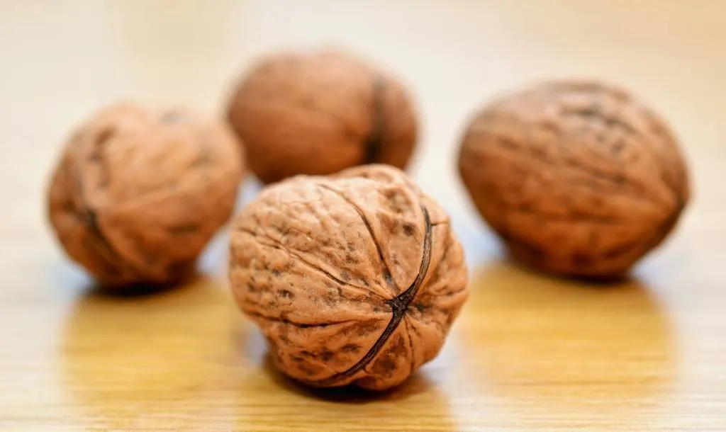 Nueces, superalimento dentro de una cáscara