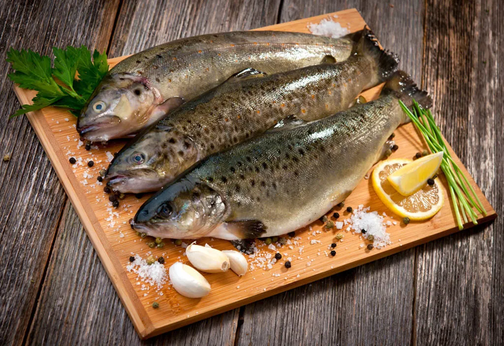 Pesca de truchas en el Pirineo y algunas recetas para cocinarlas