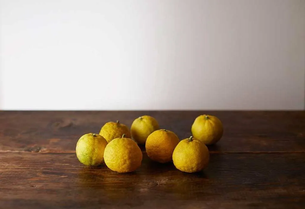 Yuzu, la fruta cítrica más apreciada en Japón