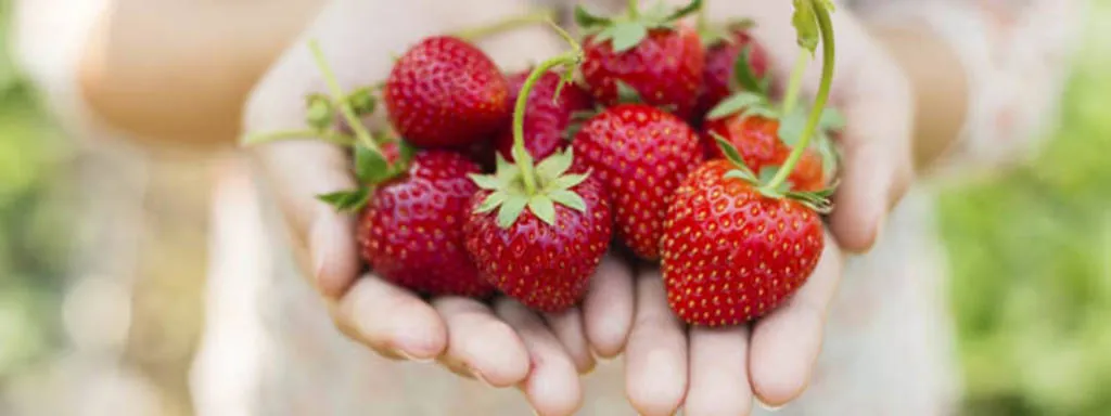 La rica huerta de Aranjuez y la gastrobotánica