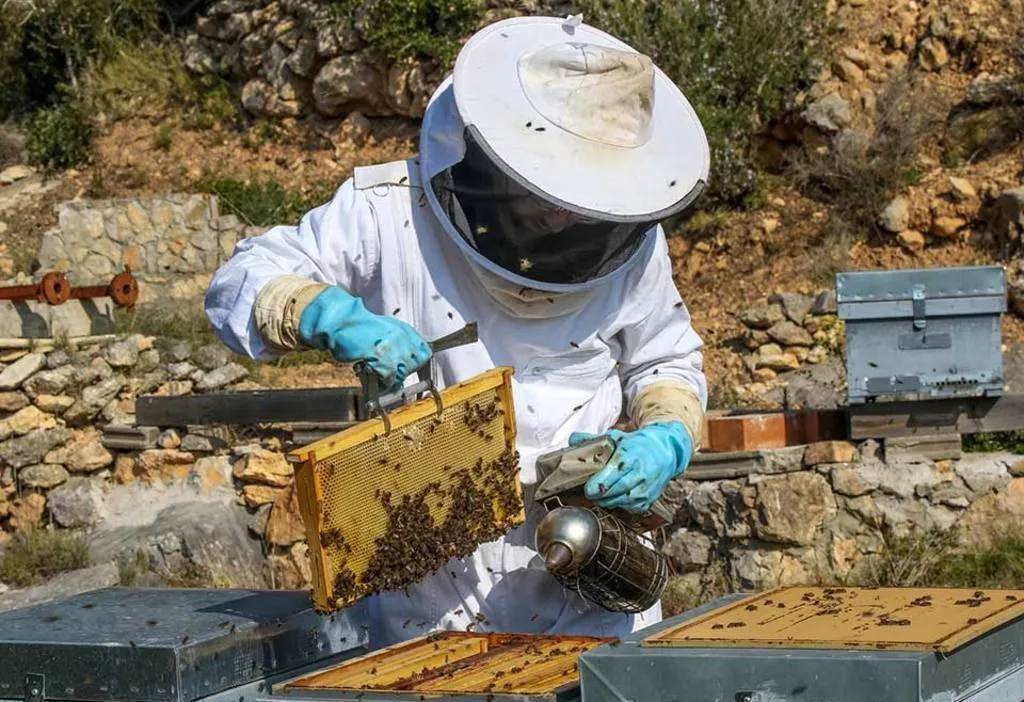 La apicultura, una actividad milenaria dedicada a la crianza de las abejas
