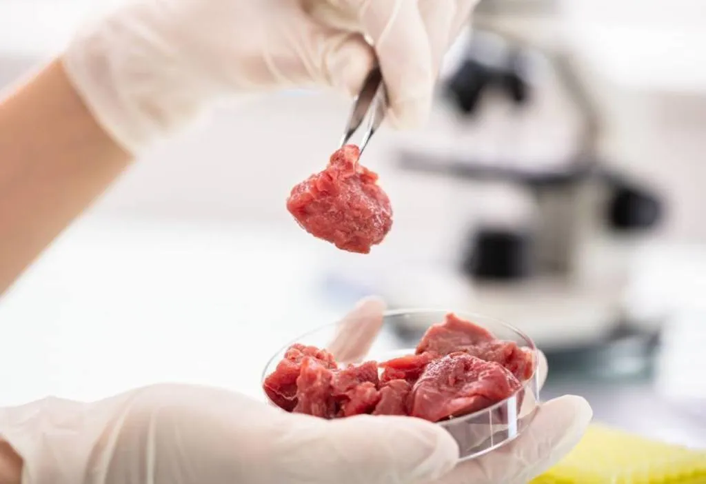 Carne in vitro: ¿una alternativa de futuro?