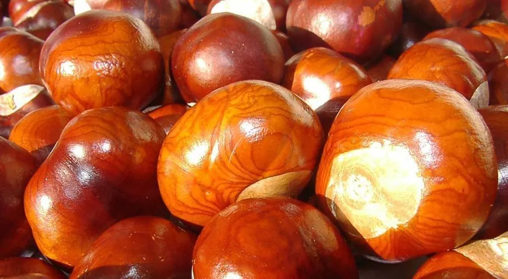 Castañas del Genal, el dulce (y poco calórico) sabor del otoño