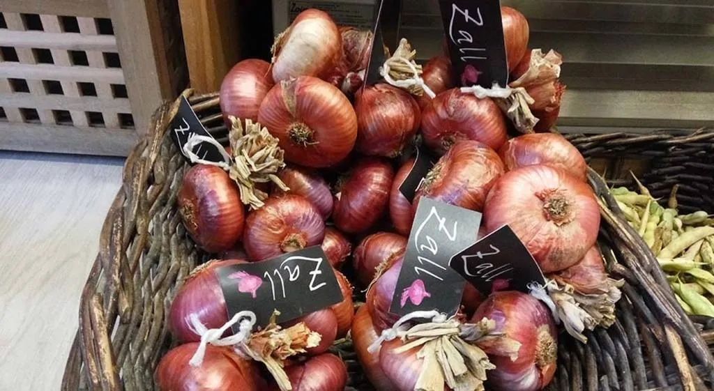 Cebolla de Zalla, el fruto morado de la luna menguante