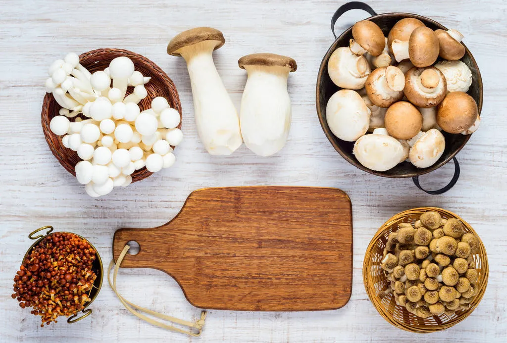 Setas de cultivo, el placer del otoño en el plato todo el año