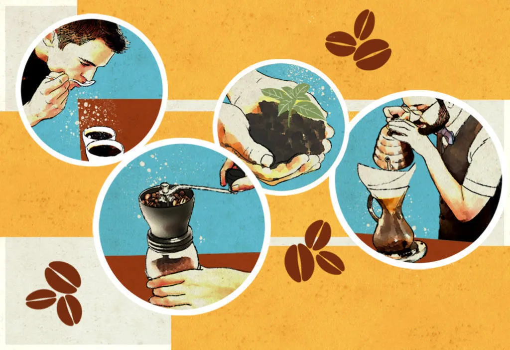 El proceso de producción del café en 8 pasos