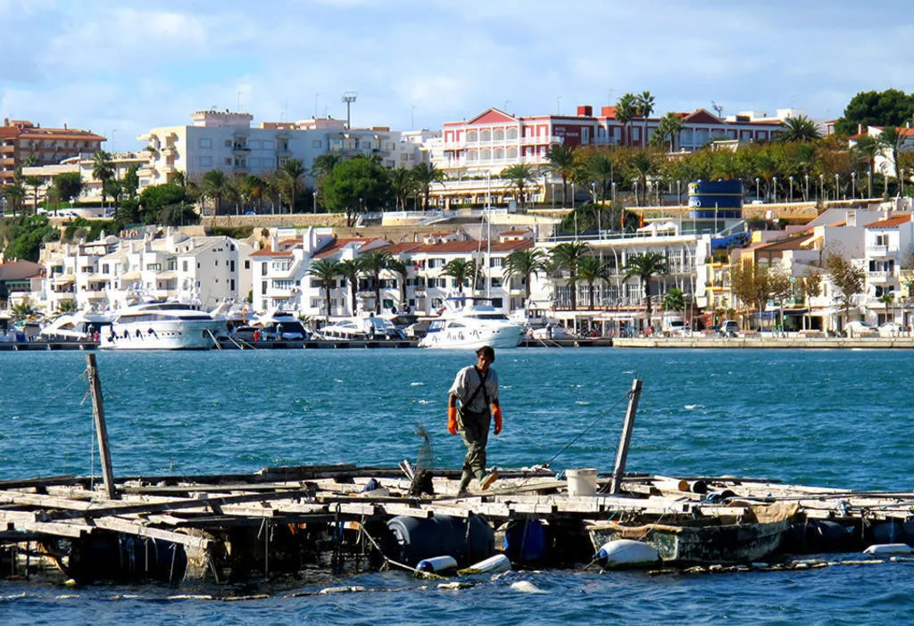 El marisqueo en el puerto de Mahón