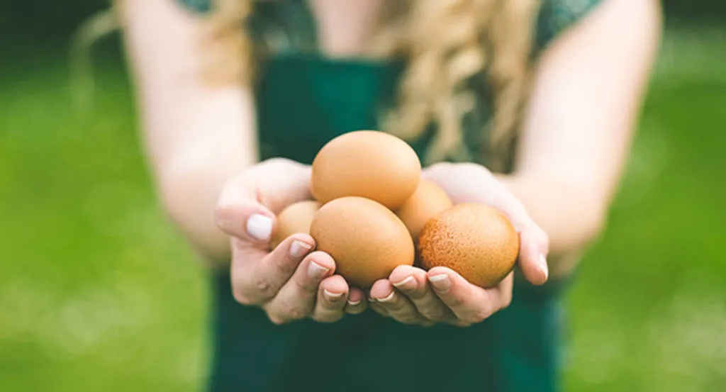 Cómo detectar unos buenos huevos: sanos, frescos y nutritivos