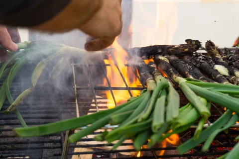 La calçotada, fiesta, comida y ritual