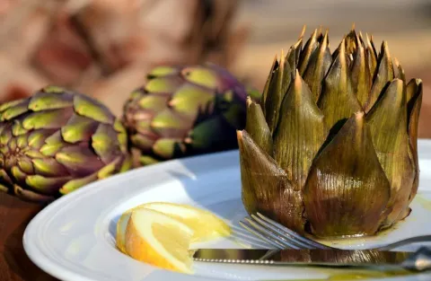 La huerta valenciana protagonista de las Jornadas ‘Menja’t Meliana’