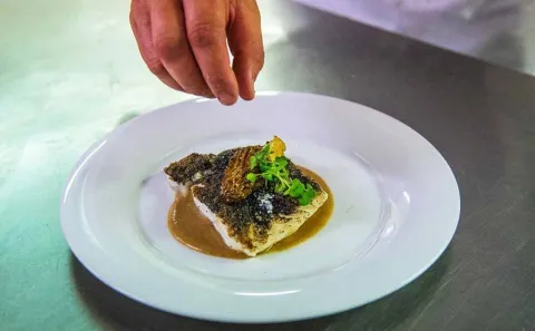 Rodaballo con falsa piel de trompetas de la muerte y colmenillas