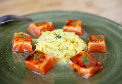 Dados de salmón marinado con falso risotto de calabacín