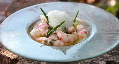 Ceviche de langostino de Benicarló con aromas de mar